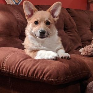 Meet your Posher, Lance